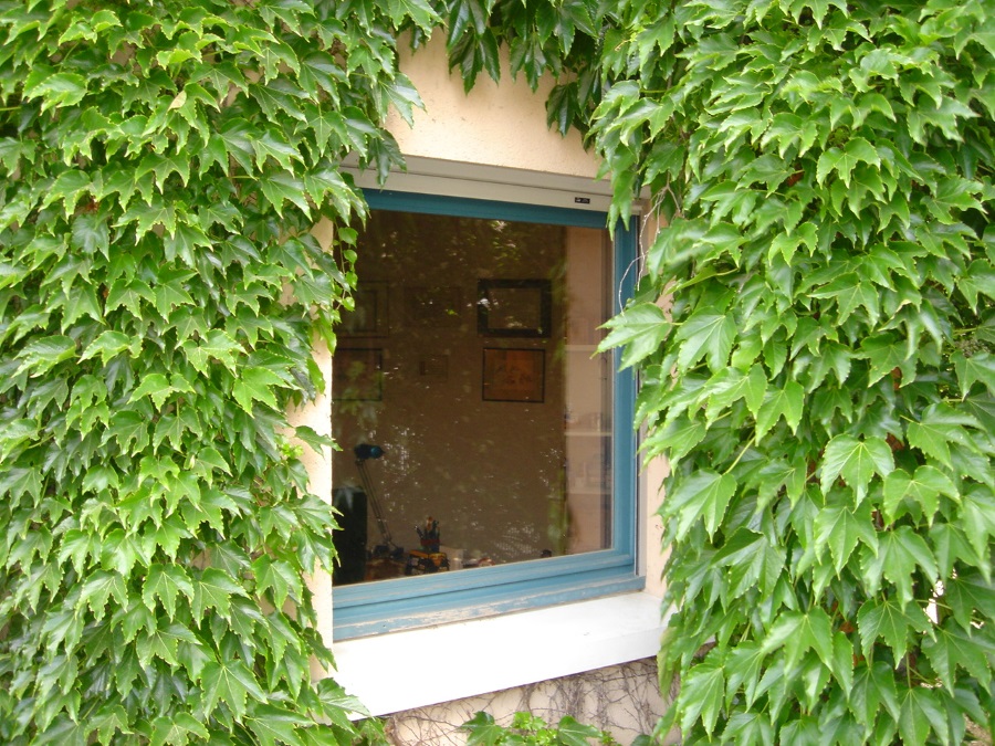 FILM SOLAIRE VITRES BATIMENT 1