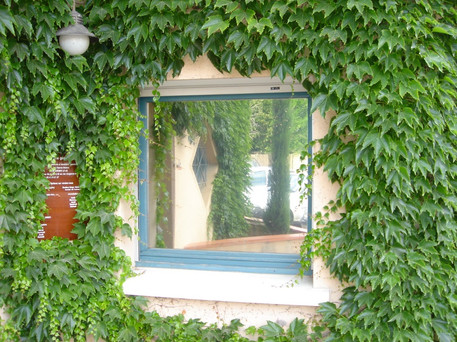 FILM SOLAIRE VITRES BATIMENT 1A