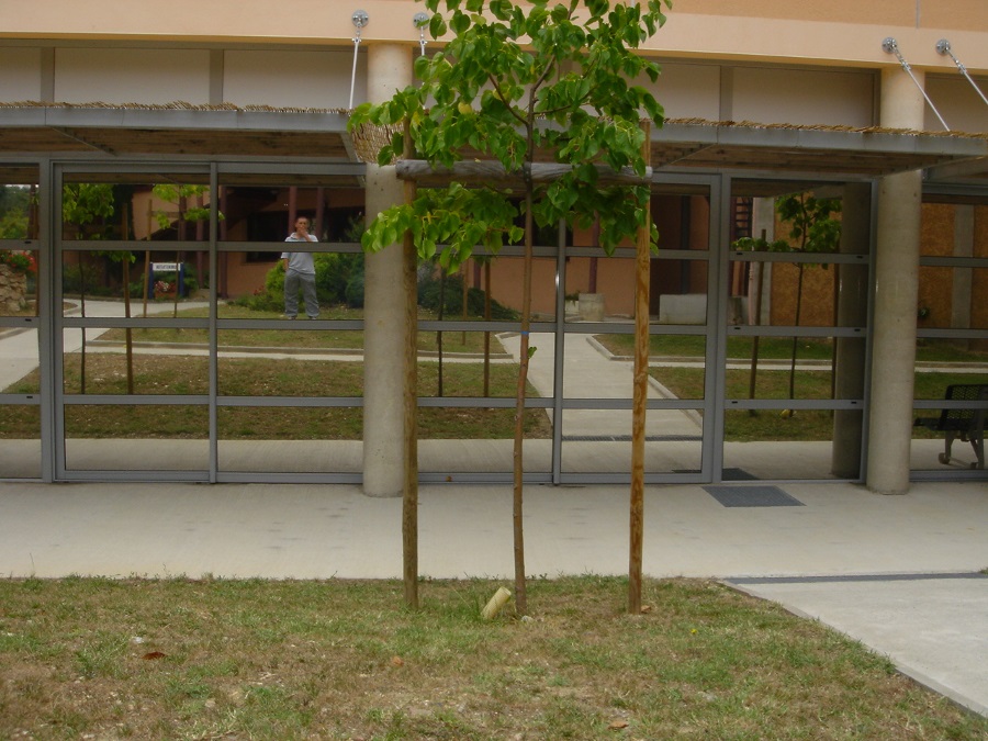 FILM SOLAIRE VITRES BATIMENT 2