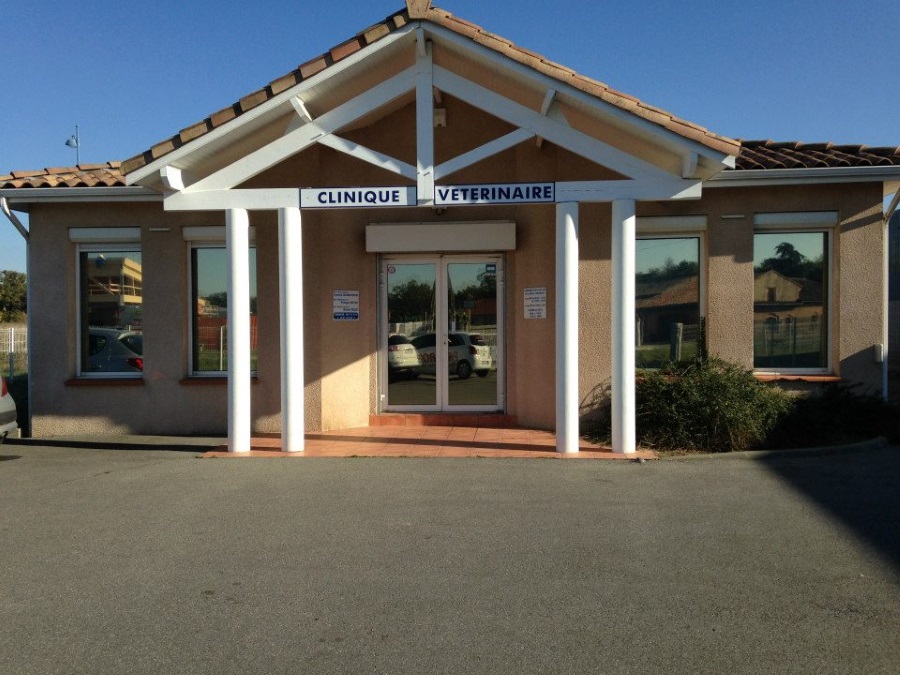 FILM SOLAIRE VITRES BATIMENT 4